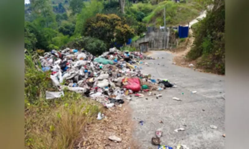 Cebu Province Begins Full Rehabilitation of 13 Earthquake-Damaged Bridges
