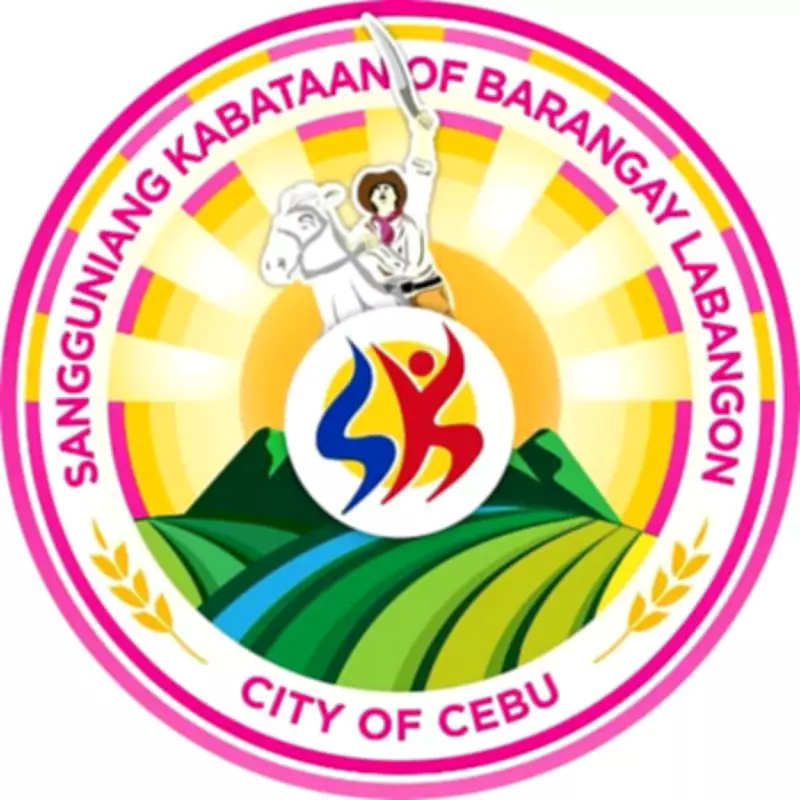 Cebu YouTuber Urges SK Probe Into Labangon Youth Council