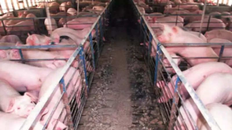DA Bans Import of Animal Products from Greece Due to FMD