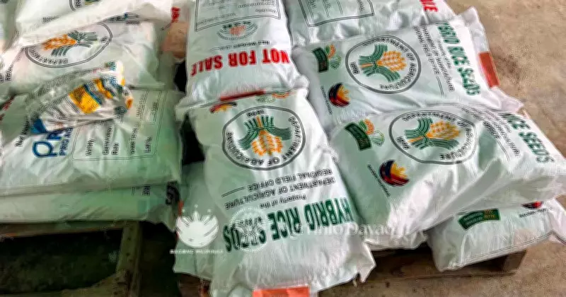 DA-Davao Distributes P23M Hybrid Seeds to Boost Rice Production