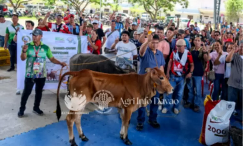 DA XI Releases P16M Livestock Aid to Davao del Norte Farmers After Calamities