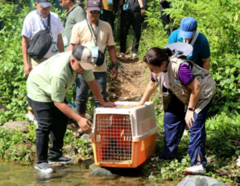 DENR Releases Eight Rehabilitated Wildlife in Zamboanga Sibugay