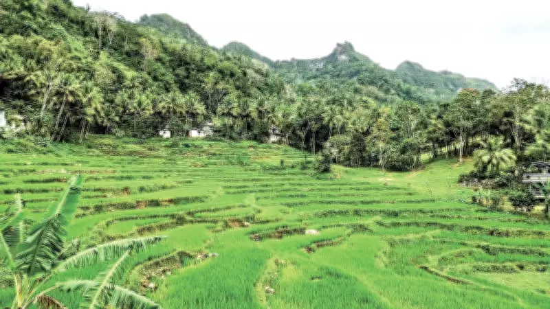 Discover the Serene Beauty of Dalaguete's Mountain Trails and Farms