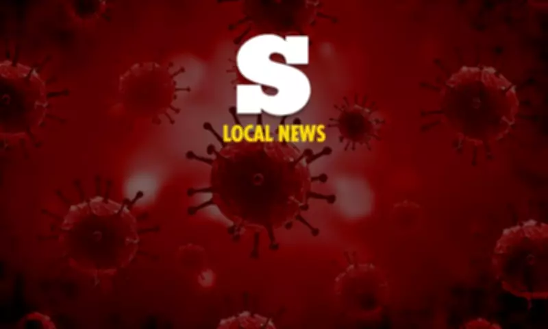 Dogs, cats may transmit hantavirus as mechanical vectors, expert warns