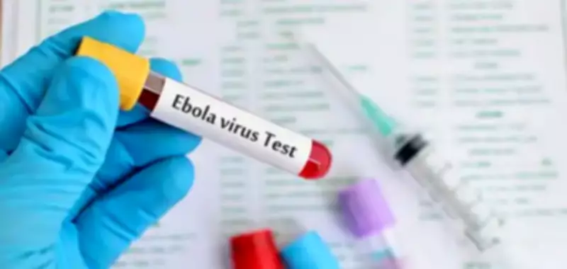 Ebola Suspected Cases in DR Congo Exceed 900, WHO Chief Says