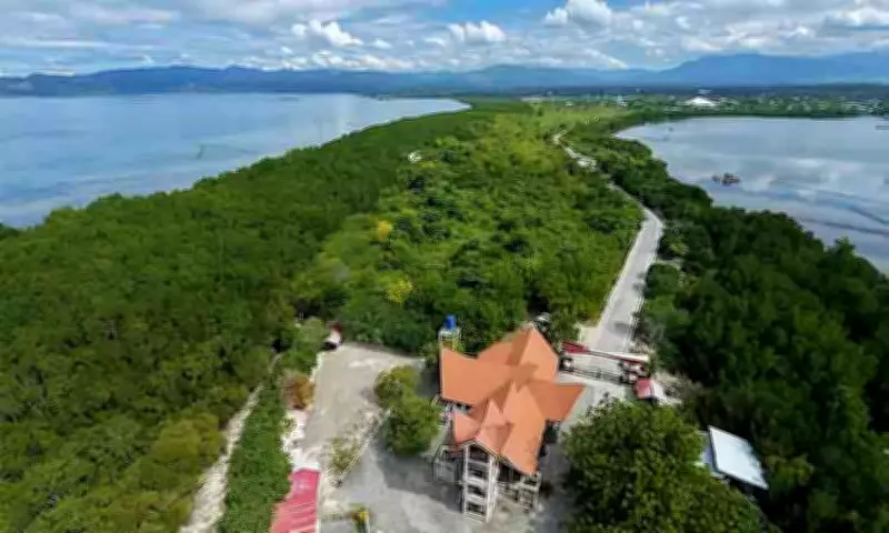 Mangrove Planting Alone Not Enough, Experts Say Amid Climate Challenges