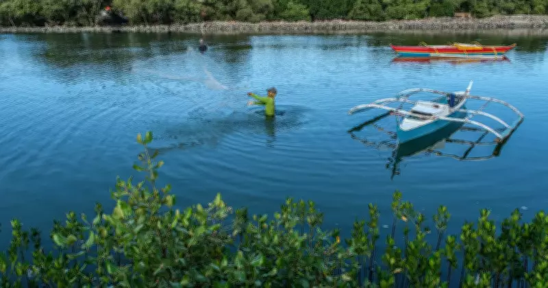 Mangroves Thrive Beside Former Landfill in Cebu City's South Road Properties