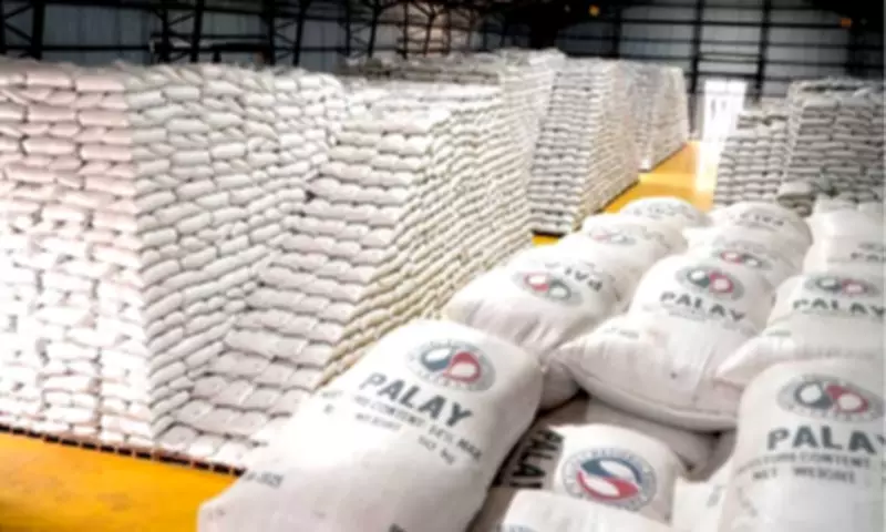NFA Intensifies Palay Procurement After Decline in Private Trader Prices