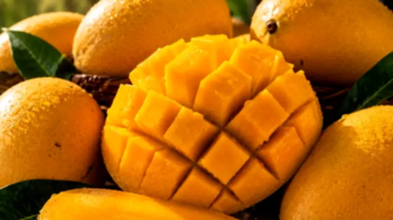 PHLPost Launches Guimaras Mango Delivery for Manggahan Festival 2026
