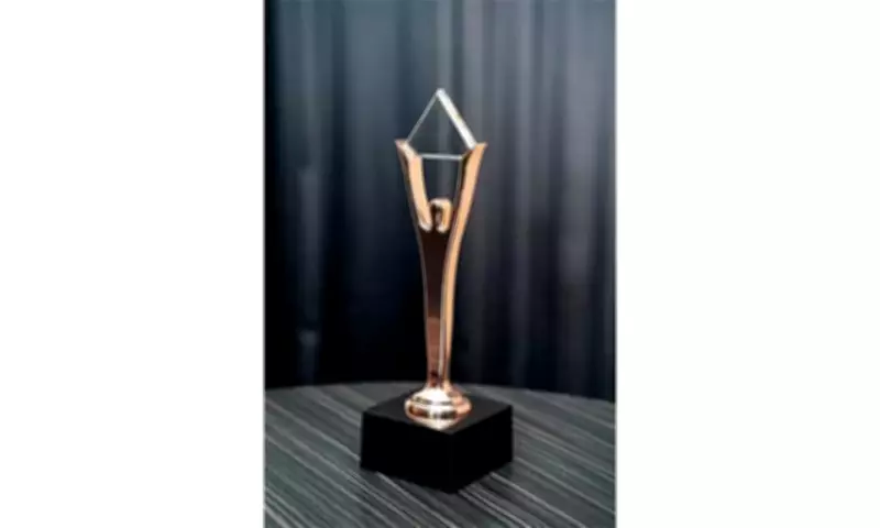 WSP Inc PR Firm Wins Bronze Stevie Award for Innovation in Media Relations
