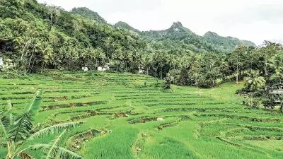Discover the Serene Beauty of Dalaguete's Mountain Trails and Farms