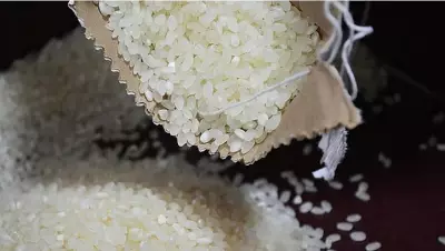 Lapu-Lapu City Revives P20-Per-Kilo Rice Program Amid Rising Prices