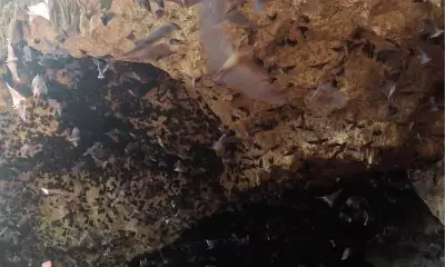 Rapid Assessment of Balite Cave Aims to Boost Conservation Efforts