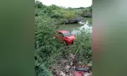Car Plunges into Mangrove Forest in Cordova, Cebu