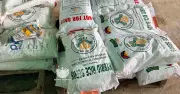 DA-Davao Distributes P23M Hybrid Seeds to Boost Rice Production