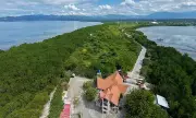 Mangrove Planting Alone Not Enough, Experts Say Amid Climate Challenges