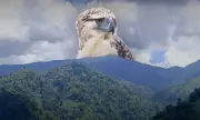Proposal to Declare Philippine Eagle Critical Habitat in Davao City Pushed