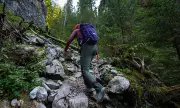 Why Mountain Research Matters: Honoring Leonard Co and Filipino Scientists