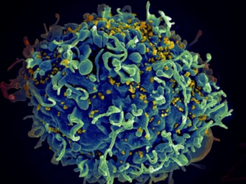 10 Minors Among 300+ New HIV Cases in Cebu From Jan to Nov 2025