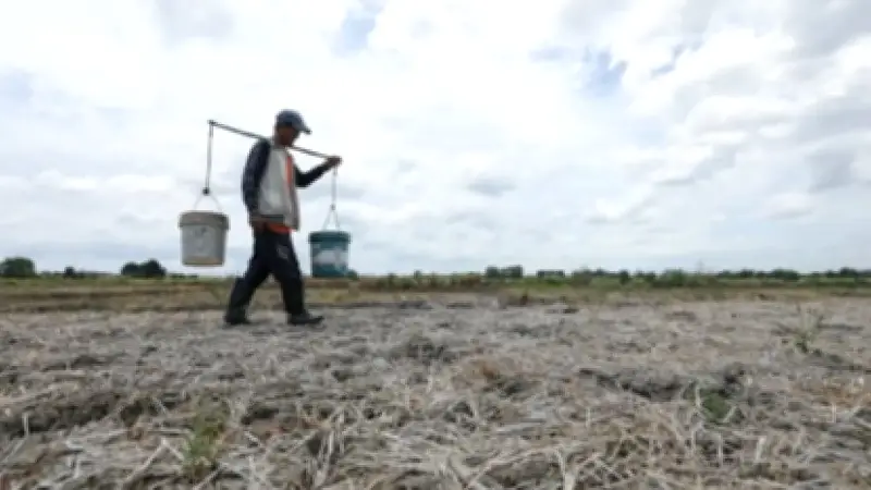 5 Mimaropa Provinces and KIG Face Dry Conditions by November 2026