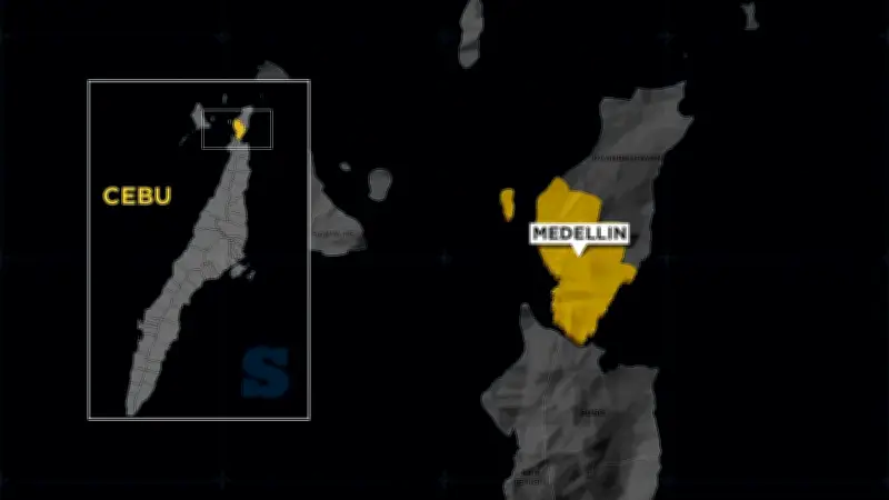 Barangay Captain Arrested for Qualified Theft in Medellin