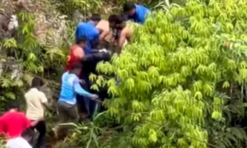 Bukidnon Resort Addresses Zipline Incident, Suspends Operations for Safety Review