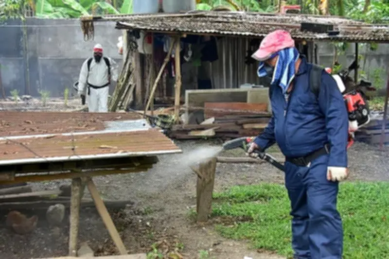 Davao City Dengue Cases Drop 61% in First Five Months of 2026