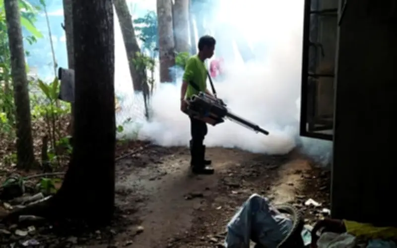 Davao del Sur Cuts Work Hours to Fight Dengue Surge