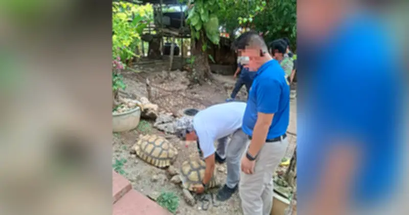 Exotic Animals Seized from Medellin Resort in Oplan Kalikasan Raid