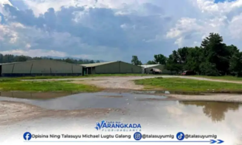 Floridablanca Mayor Inspects Poultry Over Fly Complaints