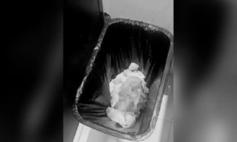 Infant Found Dead in Trash Bin at Carbon Market Restroom