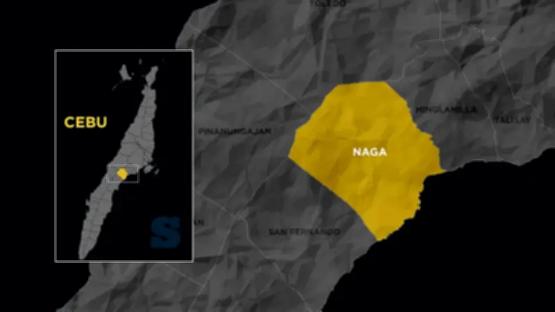 Man dies after being hit by van while crossing highway in Naga City