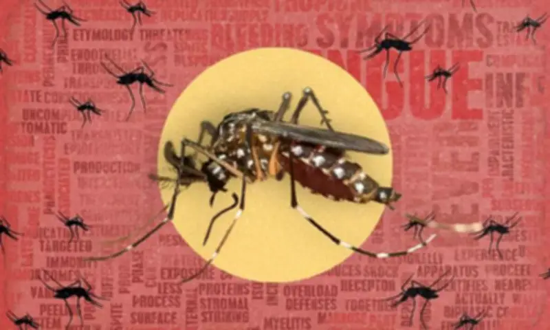 Mandaue City orders all 27 barangays to activate Dengue Task Forces