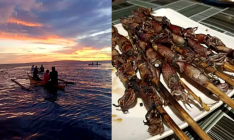 Pintuyan's Pygmy Squid Fishing: A Sustainable Livelihood