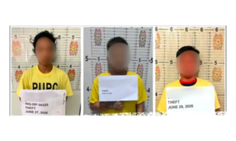 Three Arrested in Separate Theft Incidents Across Pampanga