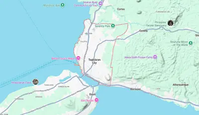 Bohol police seize P1M shabu from drug suspect in Tagbilaran City