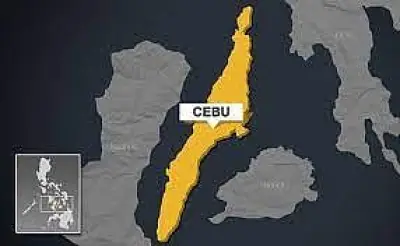 Cebu Launches Wagyu Beef AI Program to Upgrade Cattle Herds