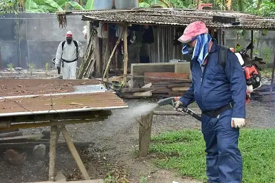 Davao City Dengue Cases Drop 61% in First Five Months of 2026