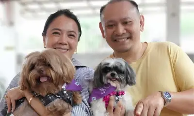 DSWD-Davao Names 10 'Doctor Dogs' for Animal-Assisted Therapy Program