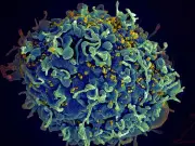 10 Minors Among 300+ New HIV Cases in Cebu From Jan to Nov 2025