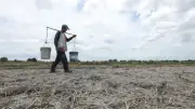 5 Mimaropa Provinces and KIG Face Dry Conditions by November 2026