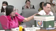 BIR Box Could Be Key Evidence in VP Duterte Impeachment Trial
