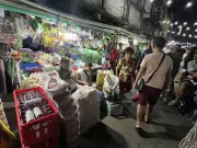Carbon for All Coalition demands transparent accreditation system