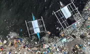 Cebu City Mayor Calls for Environmental Responsibility After Viral Dumping Incident