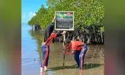 Coast Guard intensifies campaign against illegal mangrove cutting in Tawi-Tawi