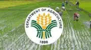 DA orders comprehensive inspection of GenSan Fish Port after 7.8 quake