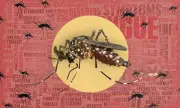 Mandaue City orders all 27 barangays to activate Dengue Task Forces