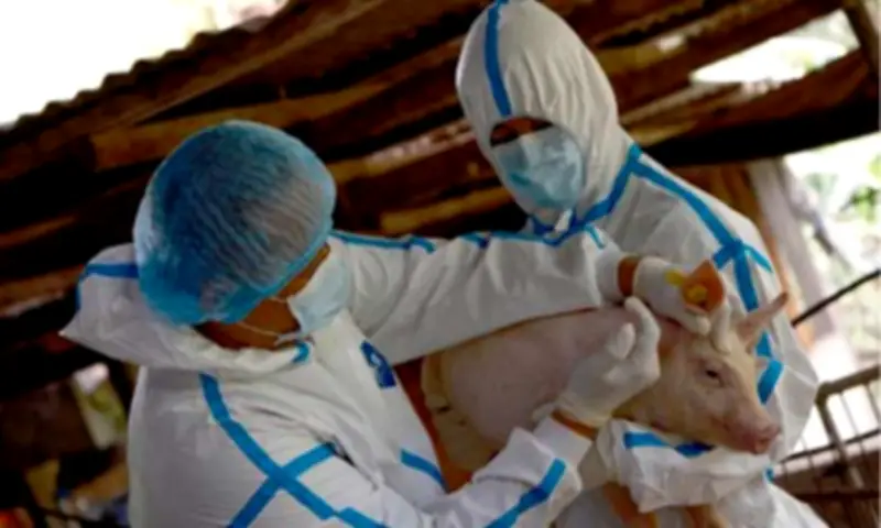 Animal Vaccine Development Program launched to boost PH livestock resilience