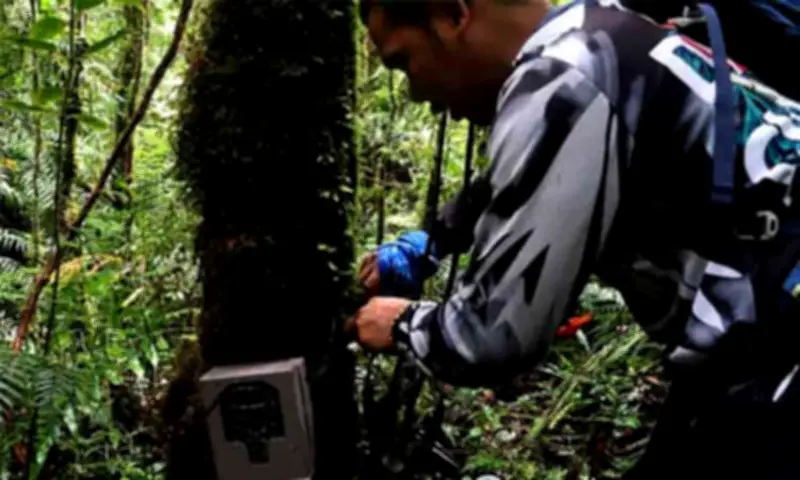 Camera Traps Reveal Elusive Wildlife in Mount Apo Natural Park