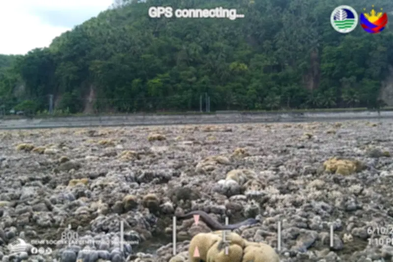 Phivolcs warns against building on uplifted coastal areas in Mindanao